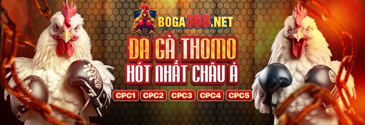 Ứng dụng vz99 khuyến mãi trên điện thoại